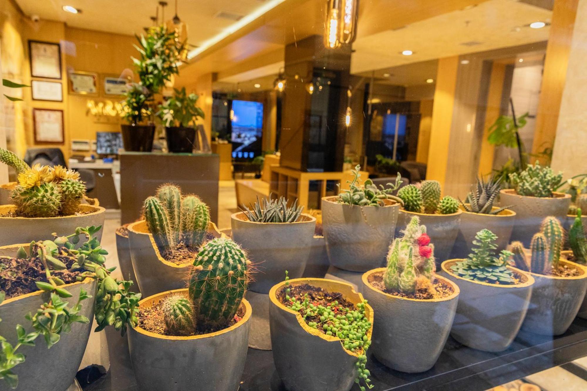 Ayramin Deluxe Taksim Hotel Istanbul
